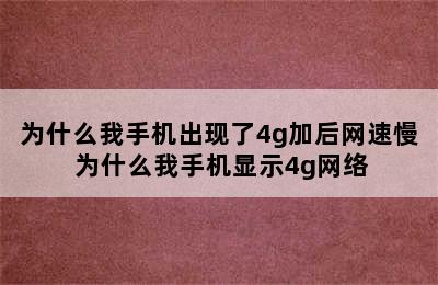 为什么我手机出现了4g加后网速慢 为什么我手机显示4g网络